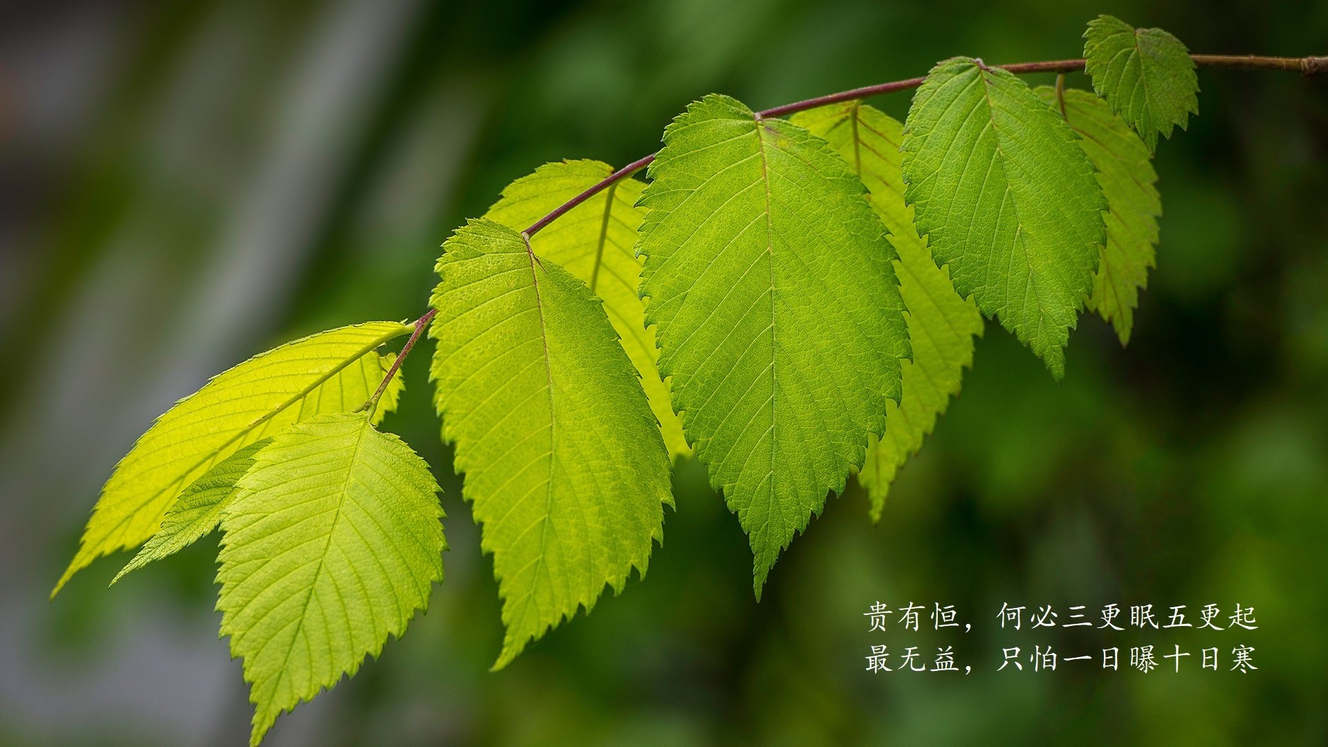 九游娱乐官网 (jiuyou)-_核能地带：新能源支持的绿色赛场_，新型核能源