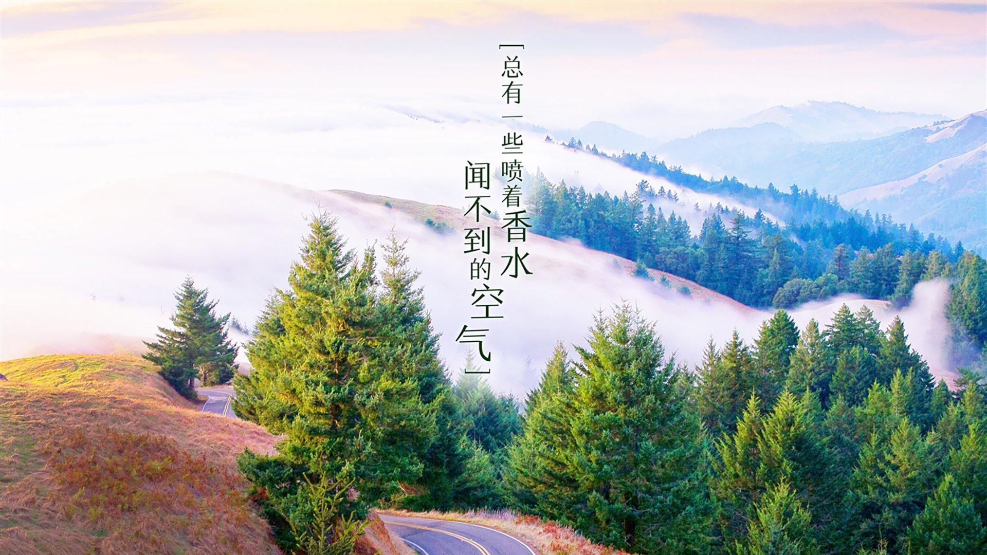 中国象棋协会发布象棋赛事赞助管理办法，举办象棋大赛