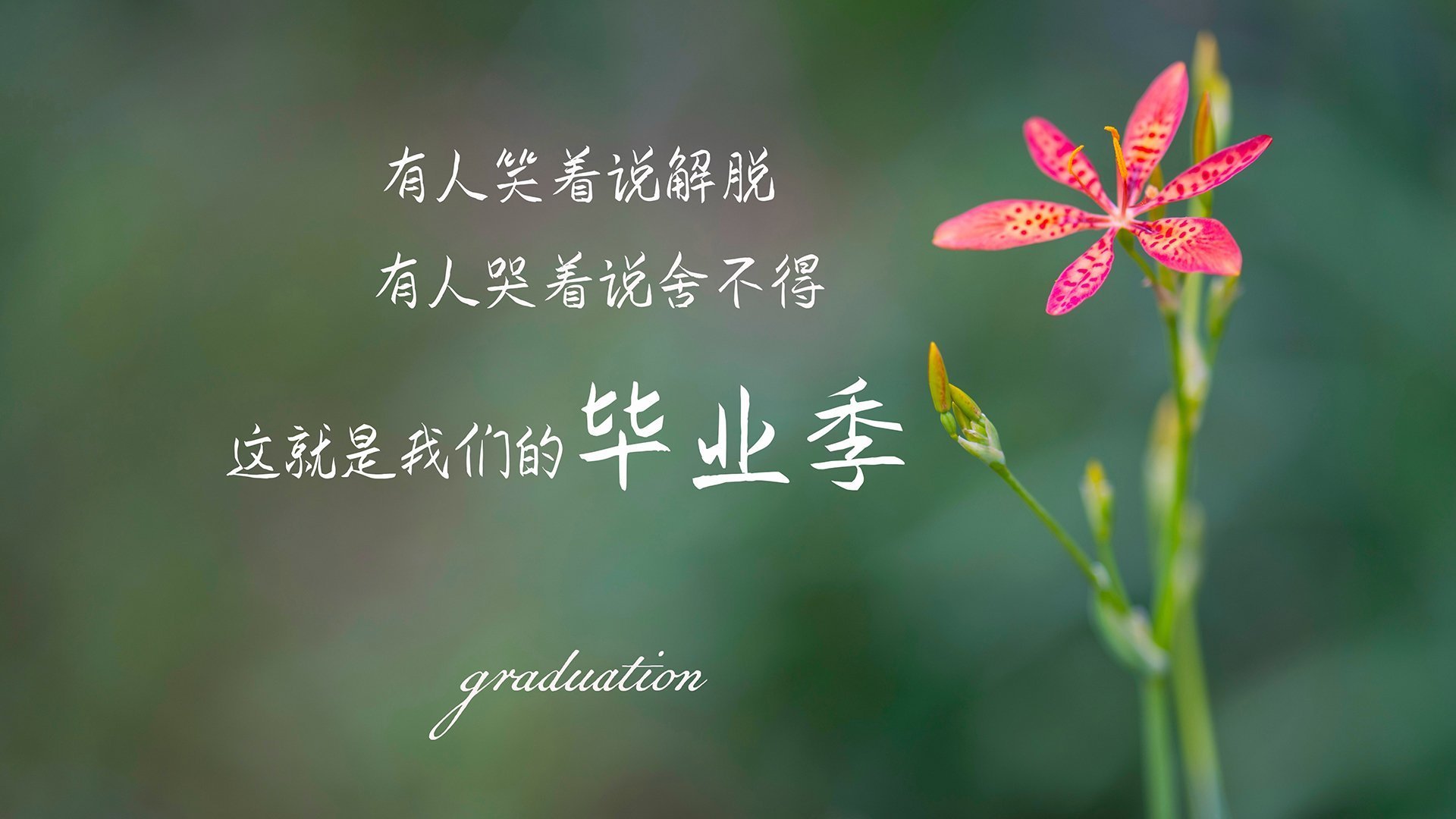 坎特加盟切尔西，球队中场衔接更流畅，坎特在切尔西是什么位置