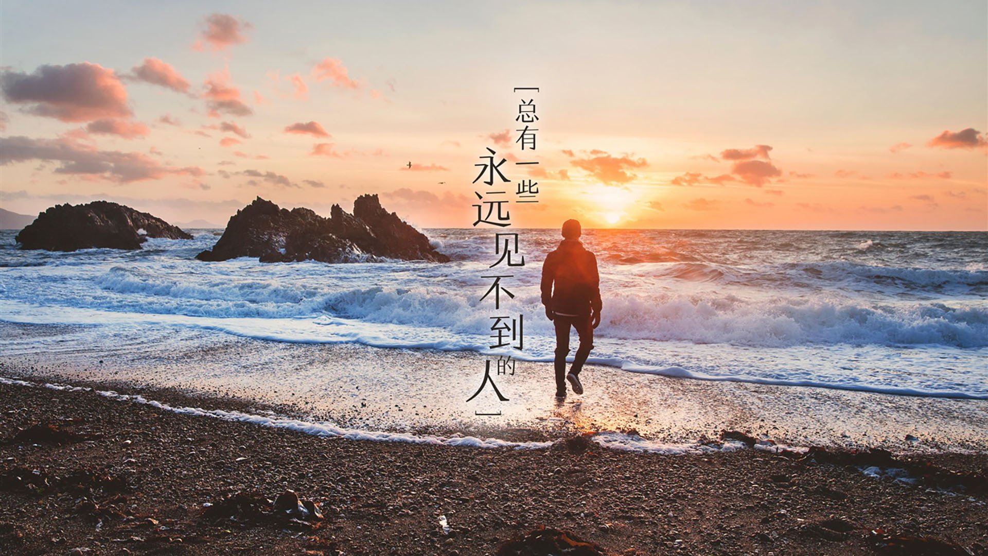 数字化青训管理系统全面铺开，提升青少年训练科学性，全国青少年数字化教育