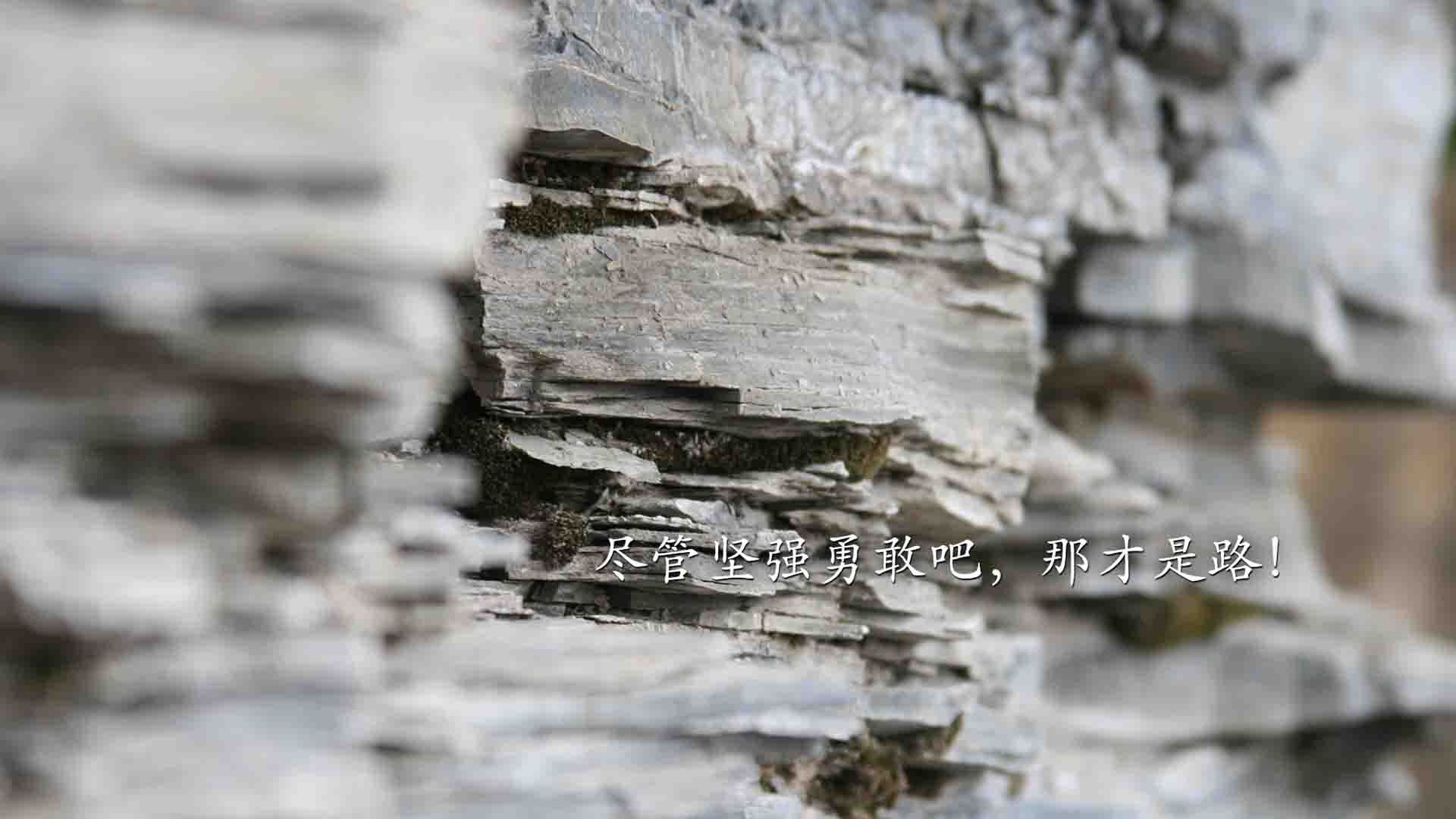 布里斯托城战术成熟，海港之队全力拼抢，港城和布里斯托