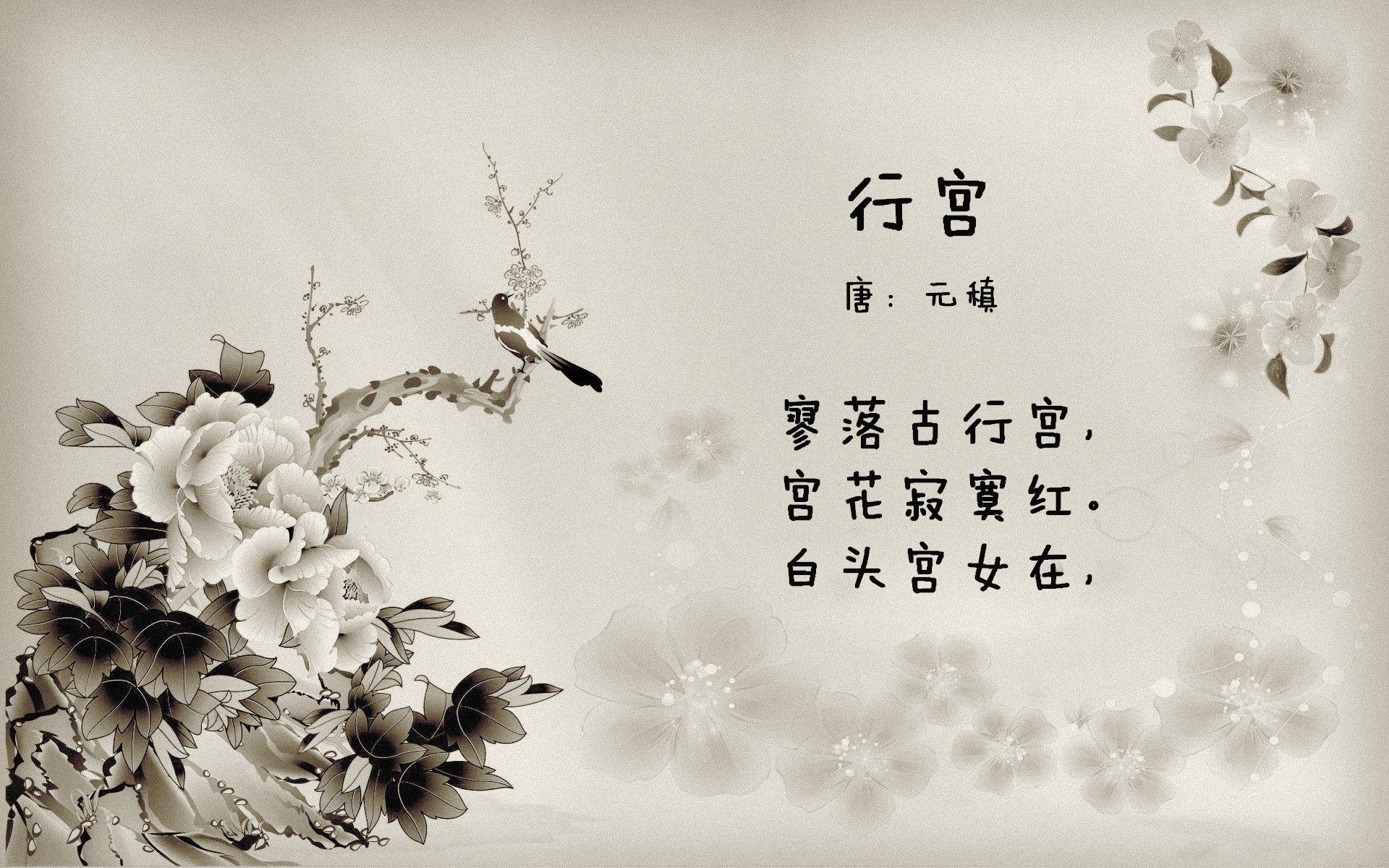 布里斯托流浪者稳扎稳打，海港之队步步为营，布里斯托流浪者对斯文登
