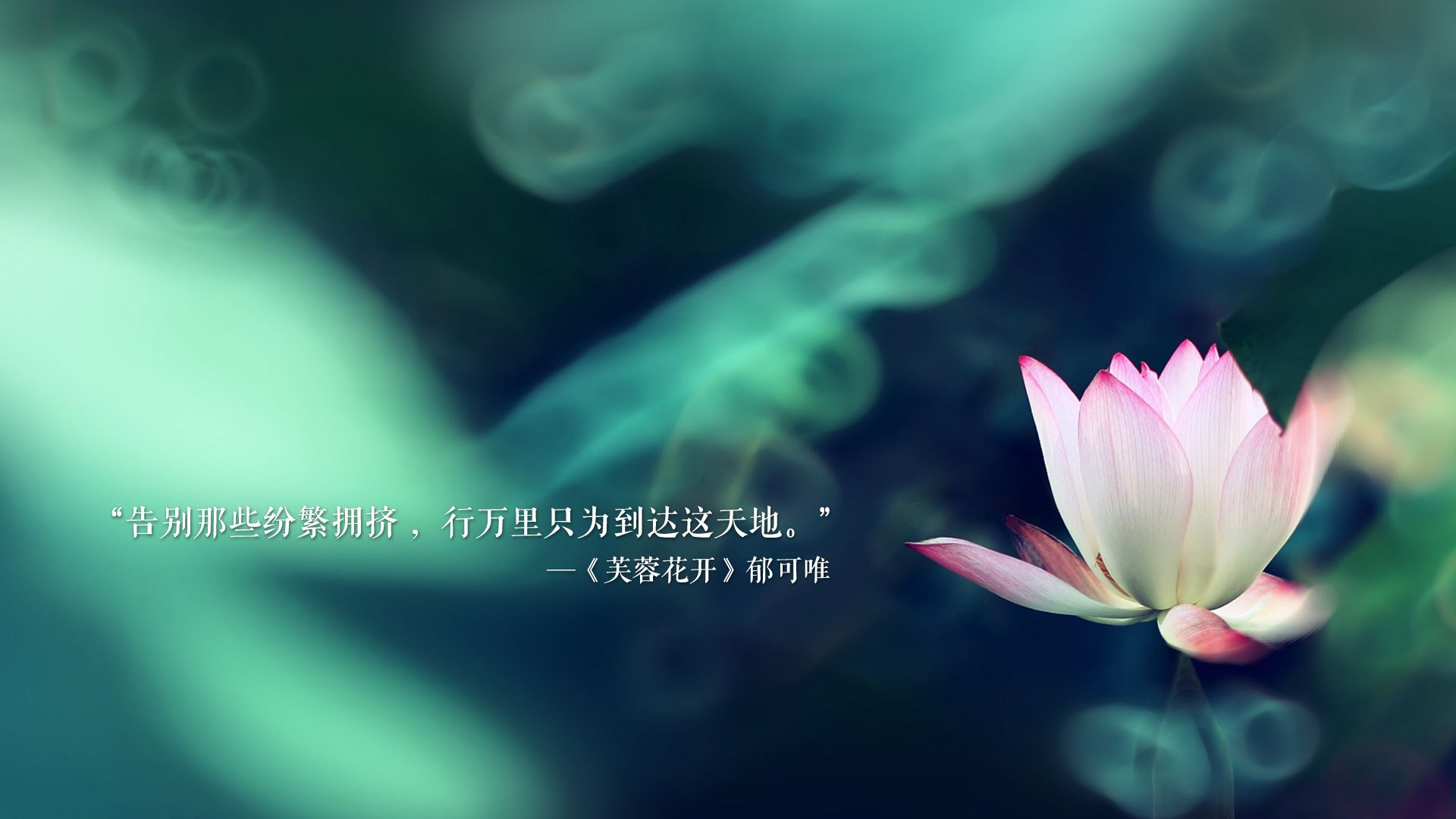 篮网外线发威主场再度奏凯，篮网内线被打爆