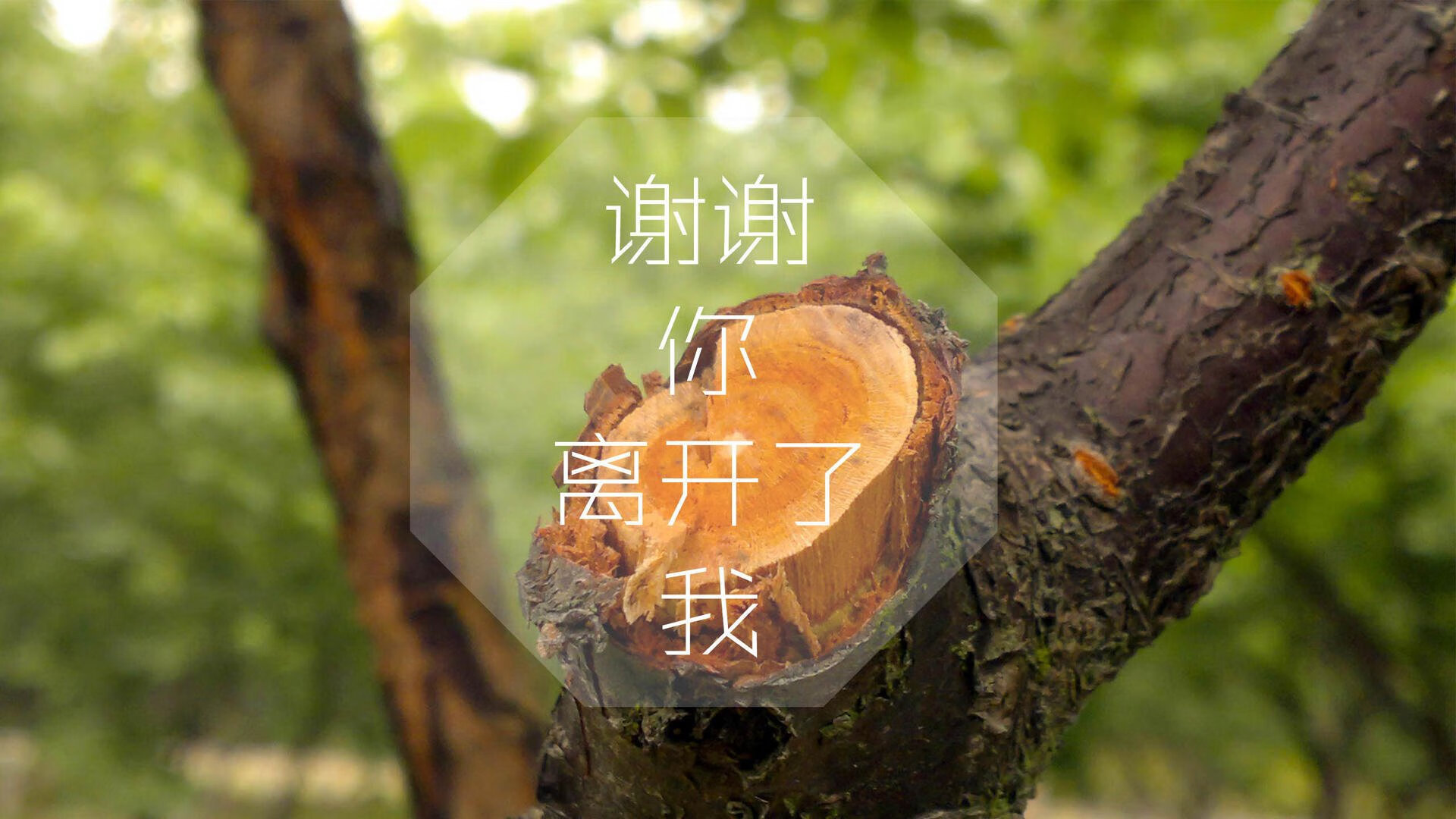 联赛赛场上发生了一场惊心动魄的比赛，比赛惨烈