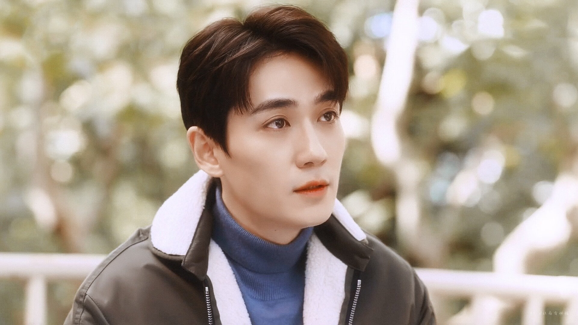 澳大利亚袋鼠队的转型与新战术，能否带来冠军？，在澳大利亚人眼里,袋鼠军团就是这样一支队伍