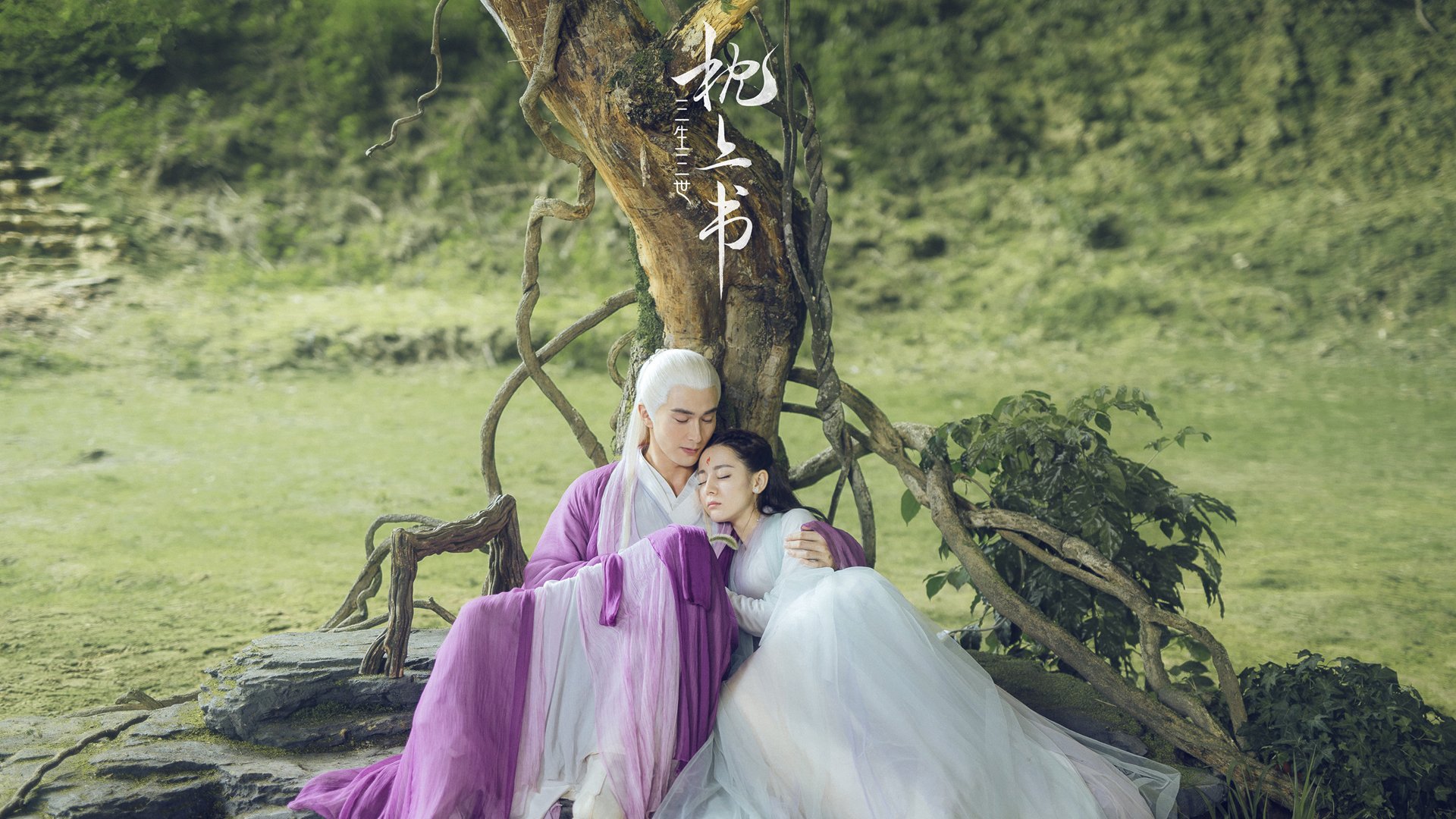 荷兰队在国际赛场战绩优异，晋级希望升腾