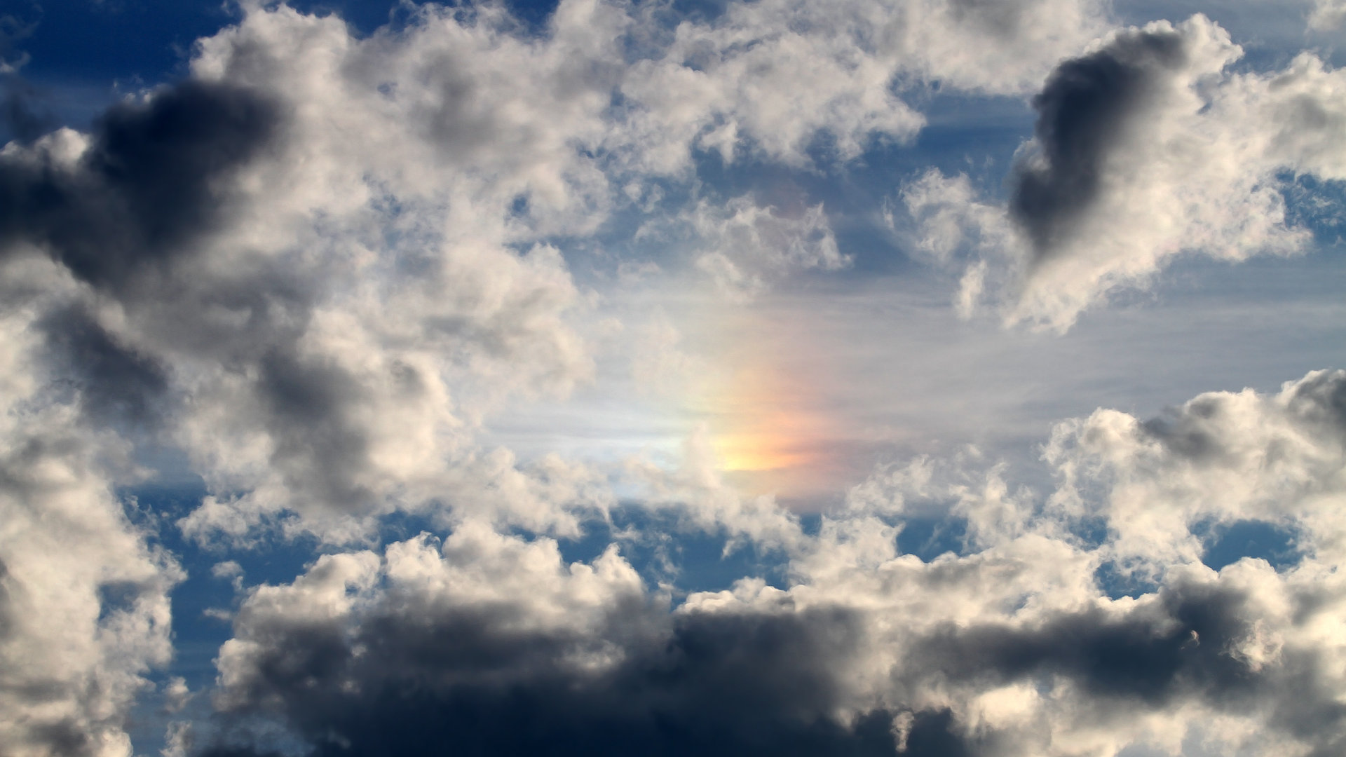 九游娱乐-胡贝特·科斯泳池内外双重突破，胡贝尔特