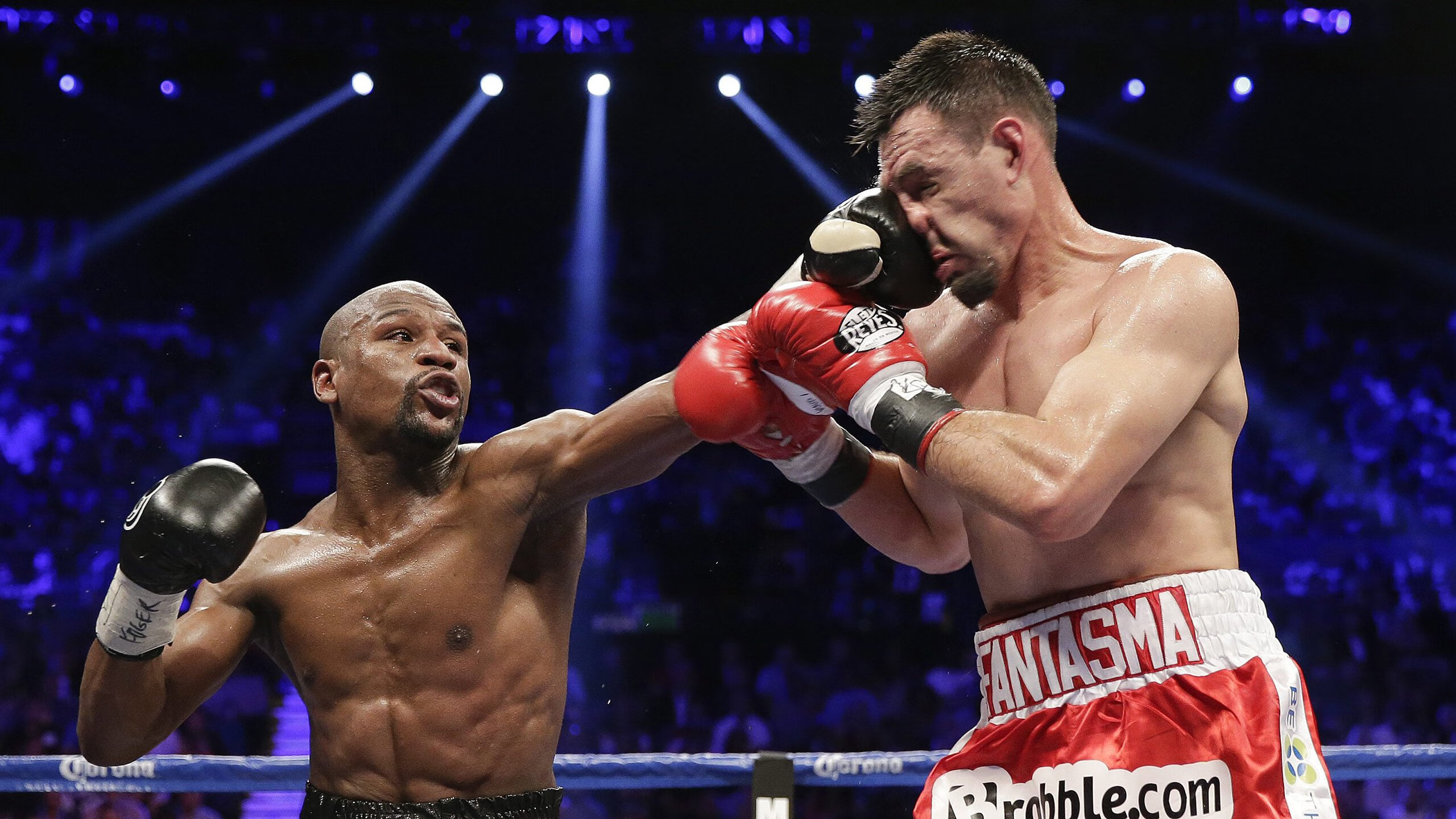 “青训市场快速发展，私人青训营如雨后春笋”，青训营多少钱